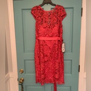 NWT Adrianna Papell crochet lace, rose, cocktail dress!